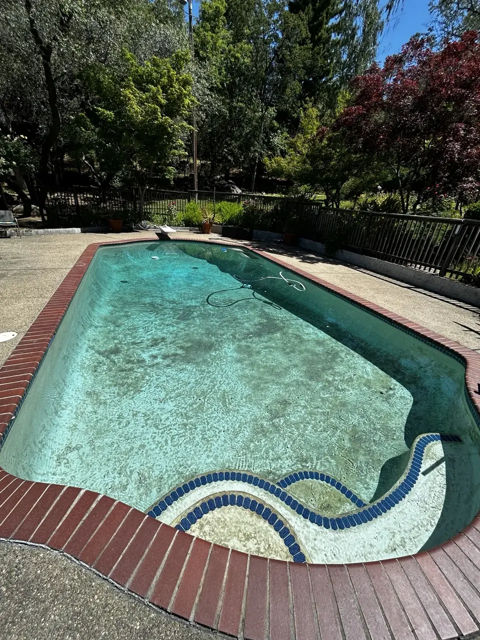 Clear pool after Boyd's Pool Service cleanup