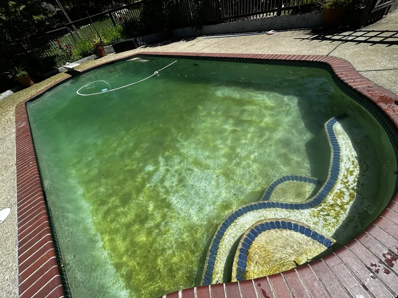 Green pool before Boyd's Pool Service cleanup
